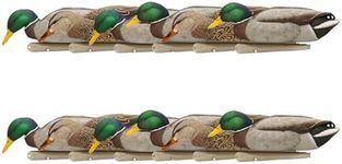 Avian X Topflight Backwater Mallards Duck Decoys Pack, Ultra Realistic Floating Mallard Hunting Decoy, 3 Feeding Postures, Multicolor, 12 Pack
