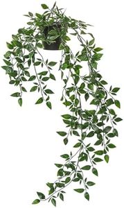 Ikea FEJKA Artificial Potted Plant, in/Outdoor/Hanging9 cm (3 �") Pack of 1