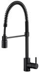 Danze DH450188BS The Foodie Single Handle Pre-Rinse Kitchen Faucet, Satin Black
