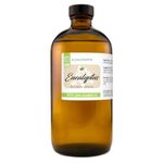 Eucalyptus Essential Oil - 16 fl oz (473 ml) Amber Glass Bottle - 100% Pure Essential Oil - GreenHealth