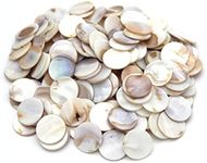 Tueascallk 300 Pieces Round of Bulk Natural Mother of Pearl Mosaic Tiles, for Home Decoration and Handmade Crafts, Diameter 0.8"