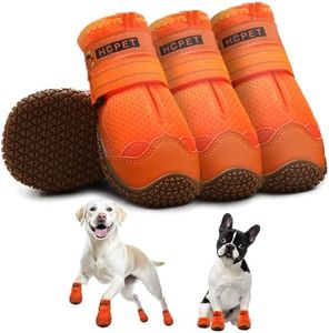 Hcpet Dog 
