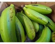 Fresh Matoke I Green Banana I From Uganda I 6KG