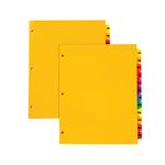 Oxford Plastic Monthly Dividers for 3 Ring Binders, 12 Multicolor Preprinted Tabs, Jan-Dec, Letter Size, 2 Pack (89608)