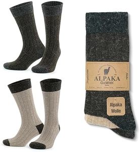 GoWith Alp