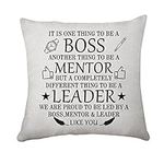 Hasodeo Best Boss Gifts for Women Boss Cushion Cover 45 x 45 Gifts for Boss Christmas Birthday Gift Throw Pillow Cases Cushion Cover for Boss Lady Boss Man Chair Soft Home Decor (Boss)