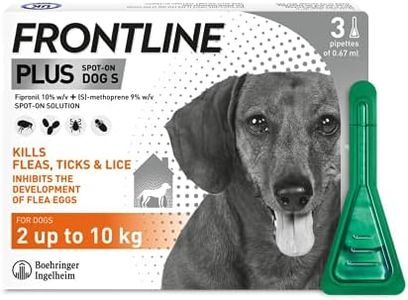 FRONTLINE 