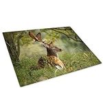 Stag Deer Forest Grass Glass Chopping Board Kitchen Worktop Saver Protector