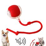 Chewie Rolling Ball,Interactive Cat Ball Toy,360° Smart Automatic Rolling Pet Ball with USB Charging (Red)