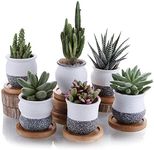 T4U 6cm Ceramic Mini Korea Style Snow Serial Full Set succulent Plant Pot Cactus Plant Pot Flower Pot Container Planter with Bamboo Trays Package 1 Pack of 6