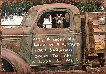 Funny Goat