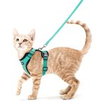 rabbitgoo Cat Harness and Leash for Walking, Escape Proof Soft Adjustable Vest Harnesses for Small Medium Cats, Easy Control Breathable Reflective Strips Jacket, S, Green