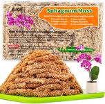 Sukh Sphagnum Moss for Plants - Sphagnum Peat Moss Natural Premium Long Fibered Chile Dried Moss Potting Mix for Orchids Succulent Carnivorous Potted Plant Reptiles Medium Sarracenia