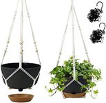 Koalaime Hanging Planter Self Water