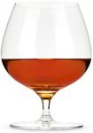 Viski 5 Inch Wingback Brandy Glasses