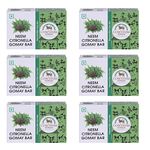 Cowveda Wellness Neem Citronella Bathing Soap for Mens & Womens Handmade Organic Soap with 100% Organic And Chemical Free-Pack Of 6 (100gms each)