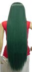 QIYUN.Z Extra Long Women's Straight Fancy-Dress Halloween Costume Anime Synthetic Hair Full Wig - Dark Green