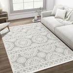 Rugs for Living Room Grey 5x7 Machine Washable Floral Area Rug, Large Boho Aesthetic Rug for Bedroom Dining Room Under Table Kids Playroom Entryway, Modern Soft Nursery Carpet, 5x7ft, Ivory Gray