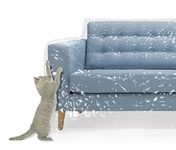 Plastic Couch Cover For Pets | Cat Scratching Protector Clawing Deterrent | Heavy Duty Water Resistant Thick Clear Vinyl | Sofa Slipover For Moving And Long Term Storage