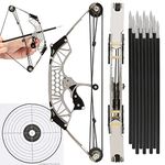 surwolf Mini Compound Bow and Arrows Set for Target Shooting Hunting Games Pocket Bow Survival Bow Archery Gift (Type2-S)