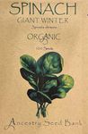 Organic Spinach ❁ Giant Winter ❁ 100 Seeds Heirloom - Non GMO