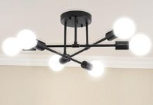 Dellemade Modern Sputnik Chandelier, 6-Light Ceiling Light, Flush Mount Ceilihg Light Fixture for Bedroom,Dining Room,Kitchen,Office,Black