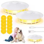 2PCS Flea Trap with 10 Sticky Pads, Electric Insect Killer Lamp, USB or AAA Battery Powered, 4 Light Modes for Fleas Mosquitoes Moths Flies, Indoor Outdoor Non Toxic Pest Control