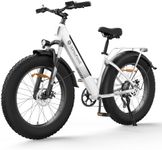 isinwheel M60 Electric Bike for Adu