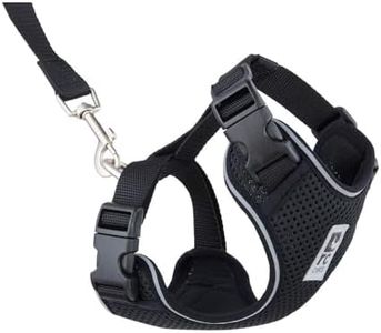 RC Pet Pro