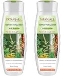 patanjali 