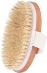 Haobase Dry Body Brush - Improves S