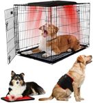 iKeener Cold Laser Therapy Device for Dogs and Humans,Red Light Therapy for Dogs, Pet Laser Therapy for Pets with 128PCS 3-in-1 LD for Pain Relief,Itching Skin & Wound Care in Dogs, Cats, Horses