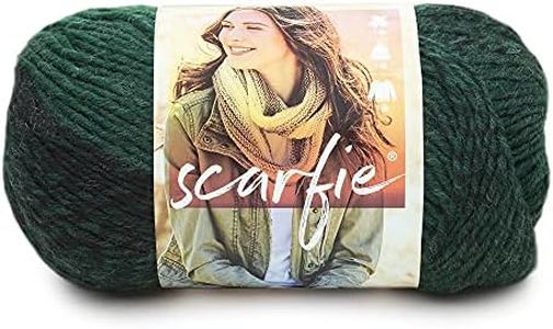 Lion Brand Yarn 826-202 Scarfie Yarn, Forest/Black