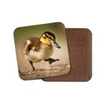 1 x Cute Duckling Coaster - Duck Baby Animals Bird Kids Girls Fun Wild #15443