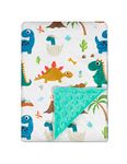 Baby Blanket for Boys Girls Double Layer Soft Plush Minky Blanket with Dotted Backing, Toddler Baby Newborn Blanket Shower Gifts (Green Dinosaur, 30 X 40 inches)