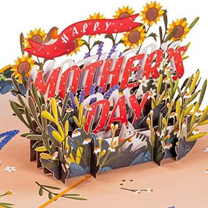 Paper Love 3D Pop Up Mothers Day Card, Happy Mother's Day, For Mom, Wife - 5" x 7" Cover - Includes Envelope and Note Tag