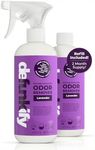 Defunkify Odor Remover Spray, Air Fresheners for Home Spray, Shoe Deodorizer Spray, Pet Odor Eliminator for Home, with Ionic Silver & Pure Essential Oil Scent, 2-Pack of 16 fl oz bottles, Lavender