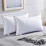 Pillows Queen Size 2 Pack for Sleeping, Soft and Supportive Bed Pillow for Side and Back Sleeper, Down Alternative Hotel Collection Pillows-20 x30