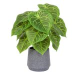 LUWENER Artificial Potted Green Leaf Plant in Pot,13.3 in/35 cm tall Fake Foliage Greenery Plant for Office Bathroom Home Desk Decoration(Candle leaf)