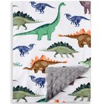 Baby Boy Blanket Breathable Fuzzy Toddler Throw Blankets Minky Soft Nursery New Born Baby Girls Double Layer Blanket with Dotted Backing for Baby Shower Birthday Gift 30 x 40 Inch (Dinosaur, 1)