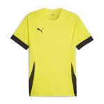 PUMA teamGOAL Matchday Jersey