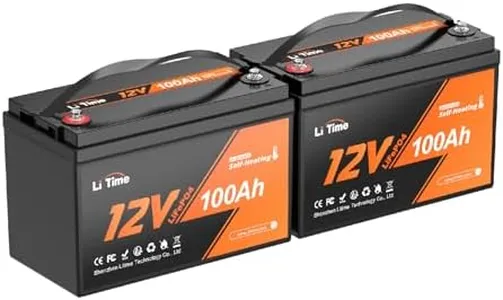 Litime 12V 100Ah Self-Heating LiFePO4 Lithium Battery with 100A BMS Low Temperature Protection, 1280W Load Power with 4000-15000 Cycles and 10-Year Lifetime for RV Solar Home Energy Storage (2 Packs)