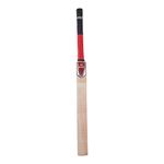 Ram Cricket Technique Cricket Bat - Narrow Bat Profile for Cricket Batting Practice – Develop hand eye coordination batting skills – Shadow batting cricket training - SH - 85cm