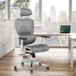 Advwin Ergonomic Office Chair-Mesh 