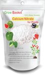 Calcium Nitrate Fertilizer Greenhouse Grade Plant Food for Hydroponics, Indoor/Outdoor Plants & Flower Gardens – Fruit, Vegetables, Holistic Herbs. Blossom End Rot Tomatoes (950)