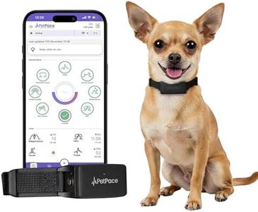 AI Health Monitor & GPS Tracker for Dogs | Track Heart Rate, Pain, Anxiety & Stress | Vet Backed, Near Real-Time Alerts & Monitoring | Subscription Required | PetPace Smart Collar 2.0 (Small)
