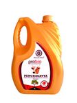 Panchagavya Organic Liquid Plant Growth Promoter 5 LTR