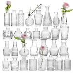CAKKVDE Clear Glass Bud Vase Set of 30, Mini Glass Vases for Wedding Table Decorations Centerpieces, Small Vintage Flower Vase in Bulk Mini Bottles Vases for Home Party Events Anniversary