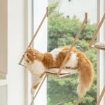 Alldaynap Cat Window Perch Essentials (Foldable) - Premium Door Outside Enclosure for Indoor Cats (Large Bed Inside)