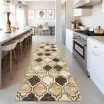 Lahome Moroccan Hallway Runner Rug 